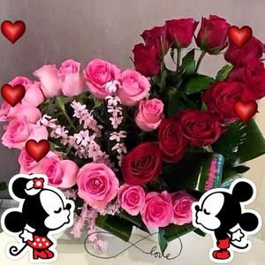 Meet your Posher, Johana